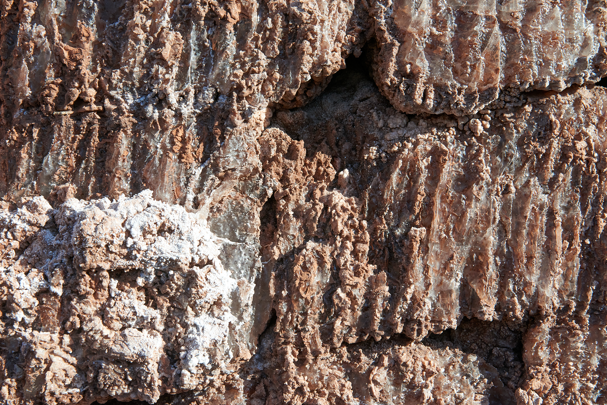 20200314 854 [칠레] 산 페드로 데 아타카마 달의 계곡